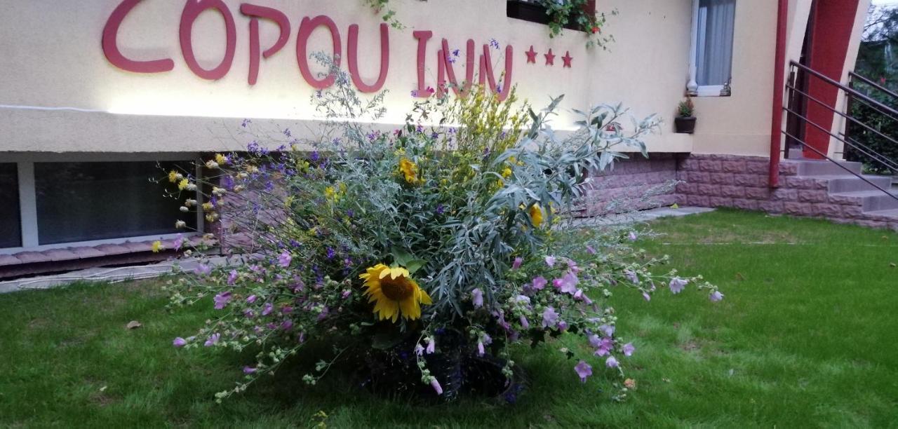Copou Inn Iasi Exterior photo